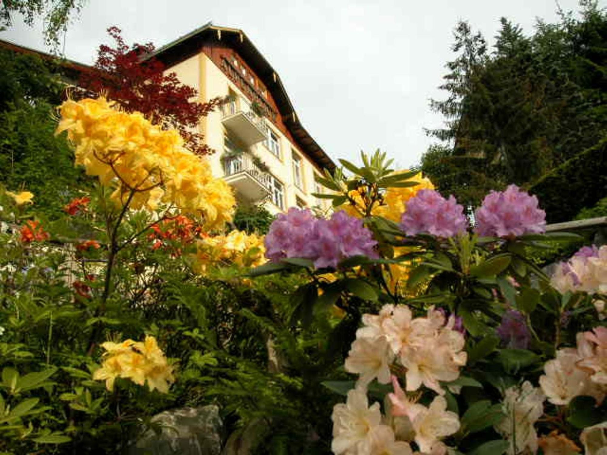 Hotel Alpenblick Bad Gastein Zewnętrze zdjęcie